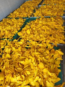 VENTE CHAUDE Mangue molle séchée biologique du Vietnam sans sucre ajouté FD Collation saine et durable séchée - Product Image 5