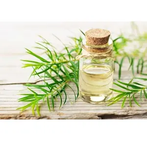 Premium Quality Organic Tea Tree Oil (Melaleuca alternifolia) Leaves Oil Buy Online From India