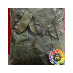 Té de hojas de Guanábana de Grado Superior | Hojas de Graviola secas a granel de granjas orgánicas | Precio competitivo y calidad. - Product Image 4