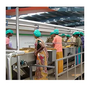 Trasportatore per la lavorazione della polpa di Mango India Factory ventola di raffreddamento motorizzata per uso alimentare trasportatore in acciaio inossidabile ad alta temperatura