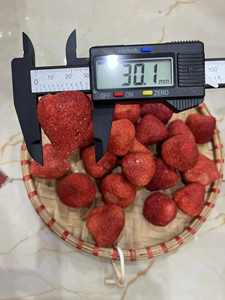Fraises lyophilisées de qualité supérieure en vrac, collation de fruits naturels croustillants, emballées sous vide, vente en gros OEM - Mme Tarina - Product Image 6