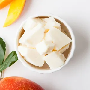 Vente en gros de beurre de mangue cru et pressé à froid non raffiné pour la peau, les cheveux, le savon et les cosmétiques | OEM/Fournisseur de marque privée d'Inde - Product Image 3