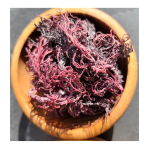 MOUSSE DE MER POURPRE SÉCHÉE-Prix raisonnable de haute qualité du Vietnam // Mme Beatrix - Product Image 2