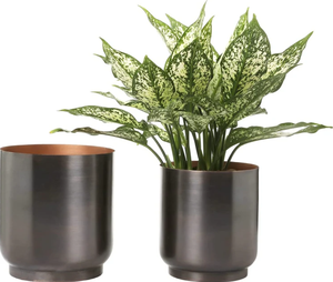 Vente en gros Design personnalisé fait à la main en métal pot de fleurs pour la maison jardin balcon prix - Product Image 5