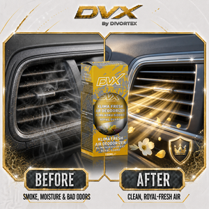 DVX |   Acondicionador y Ambientador para Aire Acondicionado de Coche Royal Guard (150 ml) para Sistema de Aire Acondicionado de Coche, Aluminio - Product Image 4