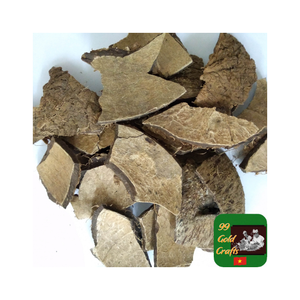 Suministro directo de fábrica de cáscara de coco para usos de carbón, artesanías decorativas y ornamentación elegante para el jardín del Hogar disponible en pedidos - Product Image 3