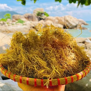 สาหร่ายเกรดพรีเมี่ยมบริสุทธิ์บริสุทธิ์สีทองจากเวียดนาม - Product Image 2