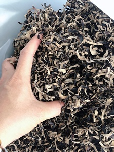 Hongos de oreja de madera de hongo negro seco de primera calidad Hongos de oreja naturales de alta calidad para cocina asiática y sopas - Product Image 6