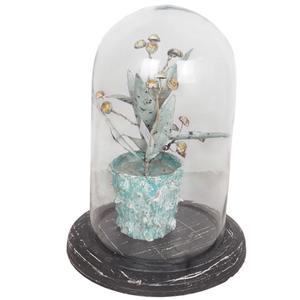 Campana de Cristal Vintage, Decoración Navideña Artificial para el Hogar, Planta de Escritorio, Artesanía Personalizada, Gran Venta, Mejor Precio de Fábrica - Product Image 4