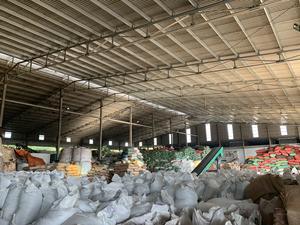 Pimienta Negra Seca Agrikim Vietnam, Certificada por ASTA, Hierbas y Especias Individuales de Binh Phuoc, Proveedor Confiable +84399521266 - Product Image 3