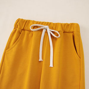 Conjunto de ropa para niños Conjunto de chándal de 2 piezas Conjunto de chándal de lana de color sólido Sudadera con capucha Niños Jogging Pullover Chándal - Product Image 5