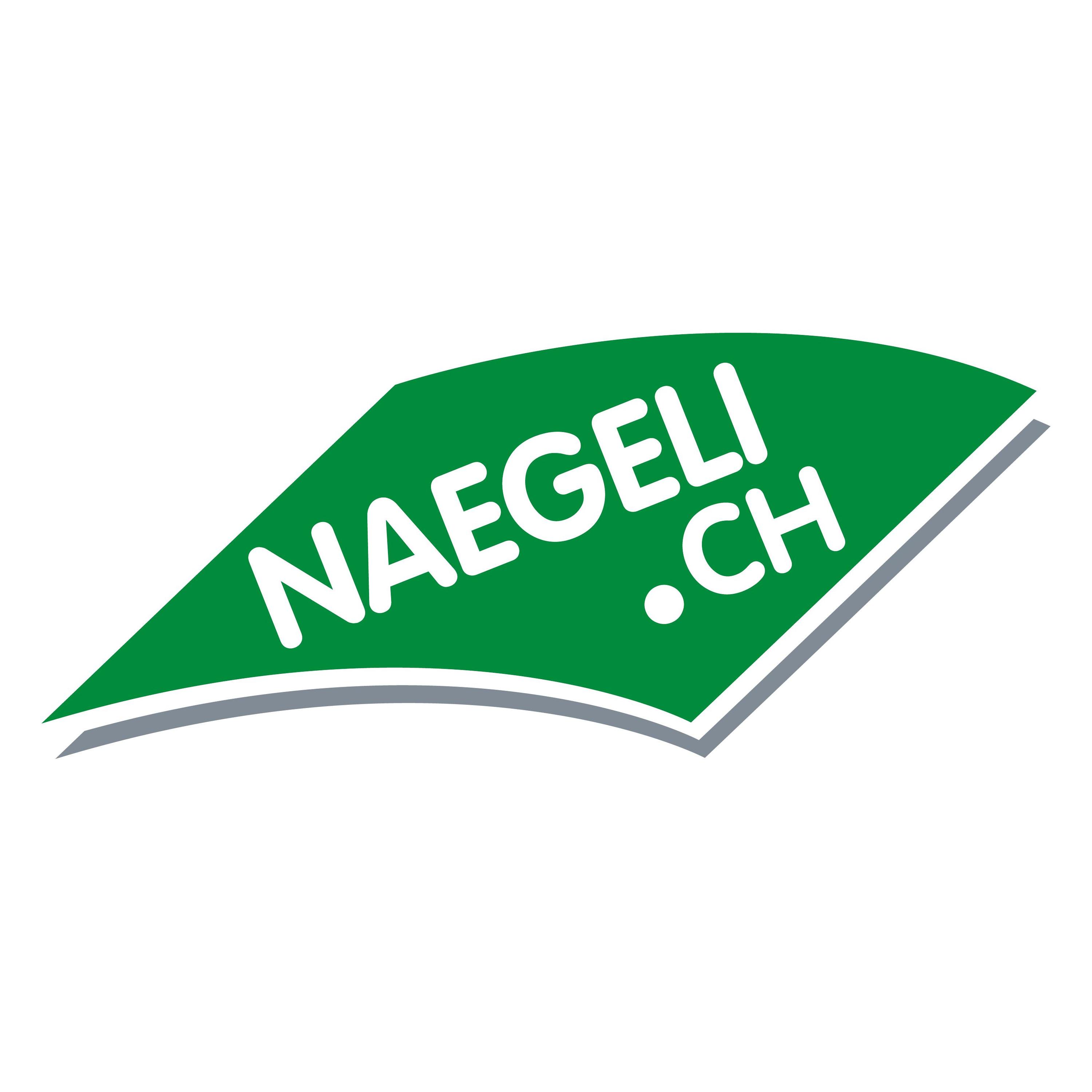 Nägeli Swiss AG logo