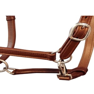 Made of High Quality Buff Leather Elegant Custom Design Horse Racing <b>Halter</b> with Heavy Duty Adjustable Brass Hardware All Sizes - Product Image 2