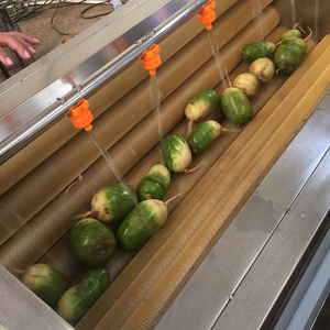 Vente chaude Hydro Washer à bas prix - Product Image 3