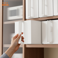 Organiseurs de placard coulissants WANUO avec poignée, tiroirs de rangement en plastique transparent/blanc pour la cuisine et l'organisation de la maison