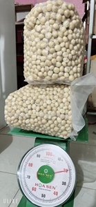 ถั่วแมคคาเดเมียออริจินอลจากเวียดนาม - Product Image 4