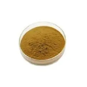 ถุงกลอง40% Bacopa monnieri ผงเรซินสมุนไพรออร์แกนิกเกรดอาหารฮาลาลที่ได้รับการรับรองฮาลาล - Product Image 1