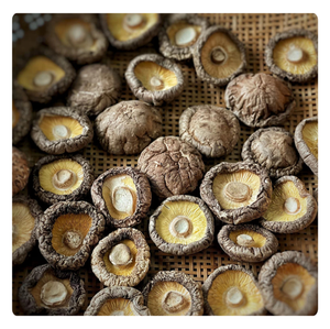 TOP EXPORT Champignons Shiitake Naturels Vietnamiens de Haute Qualité - Product Image 4