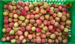 ลิ้นจี่ธรรมชาติทั้งหมดฉลากผลไม้ที่สะอาด - Product Image 4