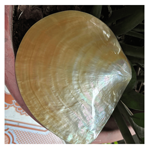 Plateau en nacre, plat en coquille naturelle pour servir des collations, présenter des bijoux et décorer une table, fabriqué au Vietnam - Product Image 4