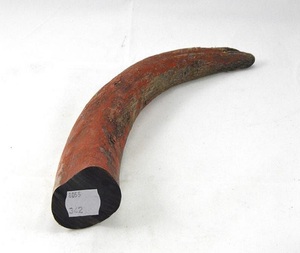 Buena calidad vaca/buey y Punta de cuerno de búfalo fabricante calidad Natural de placa de cuerno para agua puntas de cuerno de búfalo y rollo y - Product Image 2