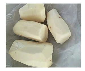 Yuca congelada de alta calidad, suministro de Vietnam, yuca congelada, trozos de raíz de yuca pelada, granja fresca Lista para cocinar, Exportación Premium a granel - Product Image 1