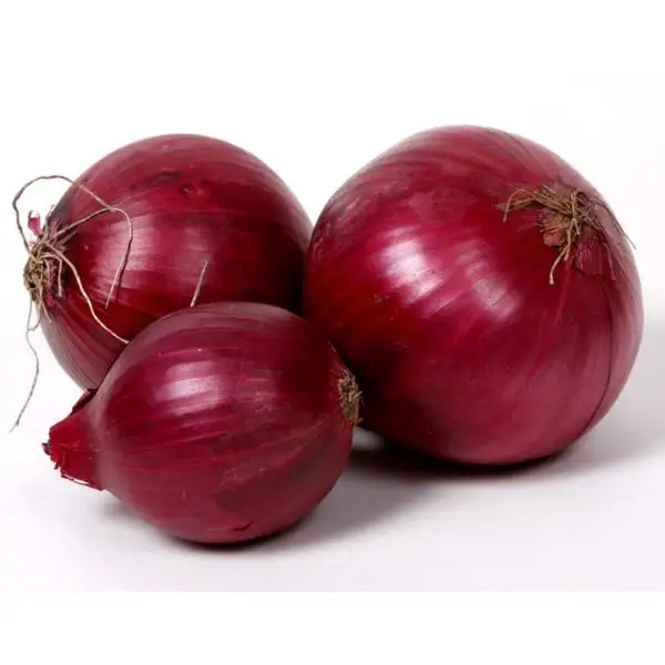 Wholesales Fresh Red Onion