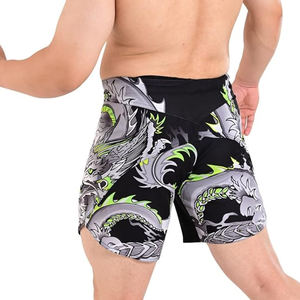 Short de combat de Muay Thai MMA personnalisé de haute qualité Kickboxing Short de boxe - Product Image 2