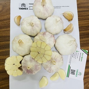 Ail frais vietnamien de qualité supérieure, ail frais naturel blanc, bulbes entiers pour les marchés d'exportation mondiaux - Product Image 3