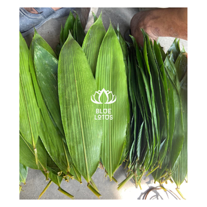 ขายดีใบไม้ไผ่ธรรมชาติ: wraps อเนกประสงค์, การตกแต่งที่ไม่ซ้ำกัน, เวียดนาม! -ดอกบัวสีน้ำเงิน - Product Image 1