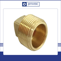 Raccord de tuyauterie en laiton, bouchon à filetage mâle 1/2'' BSP/NPT, tête carrée avec pression de 1,6 MPa, certifié ISO 9001