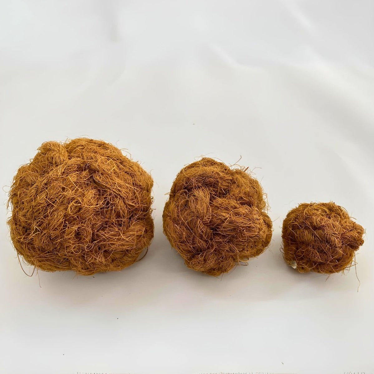 ธรรมชาติ