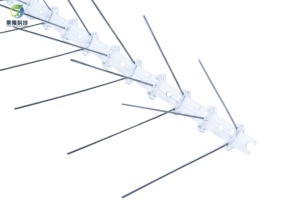 Paku <span class=keywords><strong>Anti</strong></span> Burung dan Merpati dari Baja Tahan Karat yang Tahan Lama, Grosir, Pencegah Bertengger di Luar Ruangan untuk Perlindungan Jangka Panjang - Product Image 4
