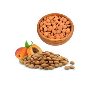 Núcleos de Albaricoque Grado A1, Vida Útil de 3 Años |   Popular en los mercados de Oriente Medio y Asia |   Kohenoor International - Product Image 1
