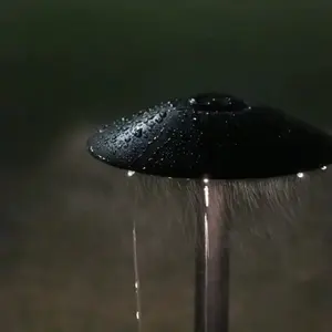 Lámpara de Camino para Exteriores PearlBlack - Product Image 1