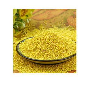 Millet jaune gluant biologique de haute qualité pour cuisiner des repas sains Expédition rapide disponible maintenant - Product Image 3