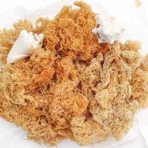 ตะเข็บธรรมชาติที่บริสุทธิ์จำนวนมากสำหรับตลาดของคุณ - Product Image 2