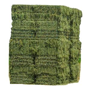 Heno de alfalfa, alta calidad, cosecha fresca - Product Image 4