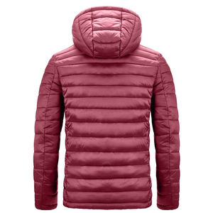 Manteaux bouffants vestes hiver en plein air vêtements pour hommes Streetwear haute qualité Designer marque doudoune hommes - Product Image 2