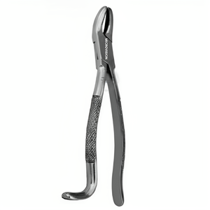 เครื่องมือทำฟันม้าใหม่ ขนาด 9.5 นิ้ว คีมถอนฟันม้าแบบฟันหมาป่า คีมถอนฟันกรามม้า เครื่องมือทำฟัน ผลิตจากโลหะ/เหล็กที่ทนทาน - Product Image 5