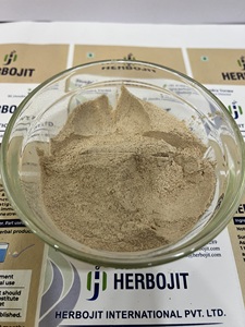 Polvo de cebolla Precio barato Polvo de cebolla blanca deshidratada Polvo de cebolla a granel - Product Image 2