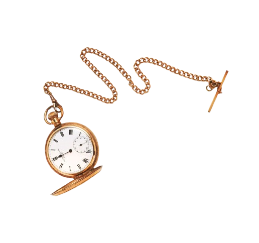 ตามที่แสดง