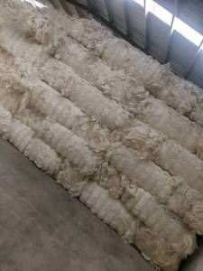 ไฟเบอร์ป่านศรนารายณ์เกรดดีจากเคนยา - Product Image 6