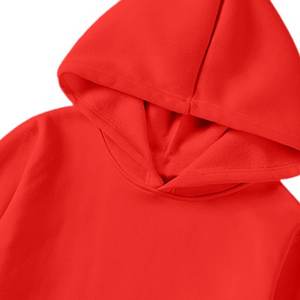 Mode 9 couleurs pulls de haute qualité Logo personnalisé imprimé groupe personnel marque broderie hommes et femmes 100% sweats à capuche en coton - Product Image 3