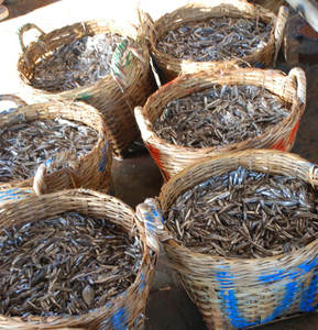 Anchois crus séchés sans tête Sac d'emballage de fruits de mer séchés - Product Image 3