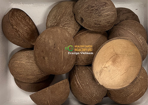 Bol de coquille de noix de coco écologique pour la crème glacée/bol de coquille de noix de coco/petit bol de noix de coco fabriqué au Vietnam - Product Image 3