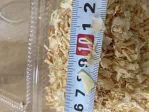 Wood Shaving for Cattle's <b>Bed</b> - Pine Wood - Compress Block 20kg - Jumbo <b>Bag</b> 600kg - High Quality From Vietnam - Product Image 2