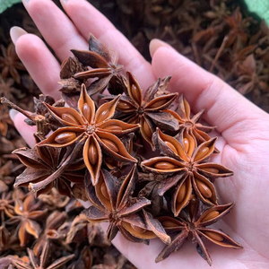 Nouvelle récolte 2025, gros anis étoilé d'automne, origine Vietnam, qualité supérieure, meilleur prix de gros WS+84359166896 - Product Image 1