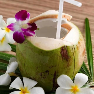 Suministro a granel de fruta de coco fresca vietnamita que trae frescura de cítricos al mundo - Product Image 1