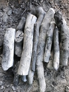 CHARBON DE BOIS BLANC 100% FABRIQUÉ AU VIETNAM PAR BIWOOD COMPANY, MEILLEUR VENDEUR DE CHARBON DE BOIS POUR BARBECUE, CHARBON DE BOIS DE HAUTE QUALITÉ - Product Image 6